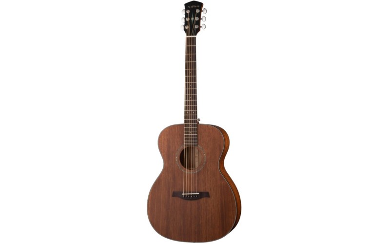 Parkwood S22M NS - Акустическая гитара, с чехлом, матовая