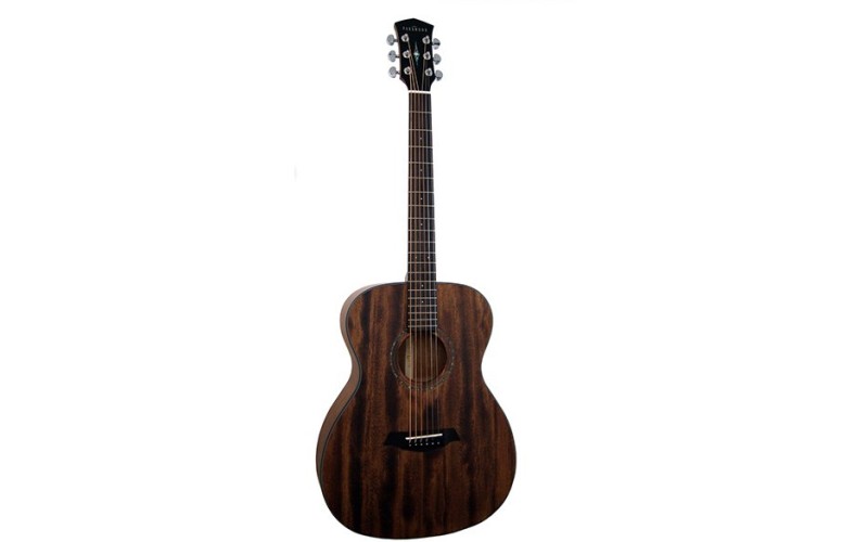 Parkwood S22MF-NS Акустическая гитара, с чехлом, матовая