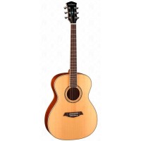 Parkwood S62 - Акустическая гитара, с чехлом