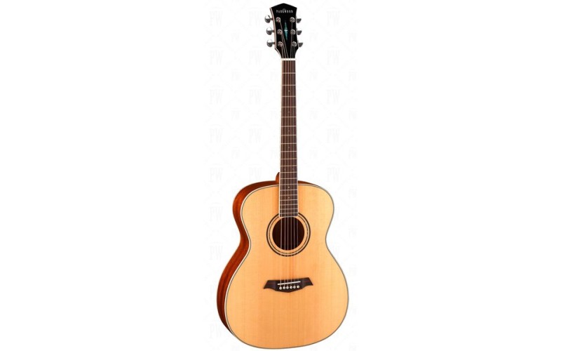 Parkwood S62 - Акустическая гитара, с чехлом