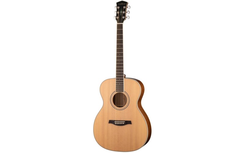 Parkwood S62 - Акустическая гитара, с чехлом