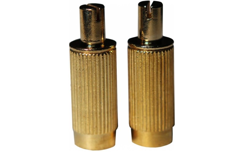 PAXPHIL MB041-GD - крепления струнодержателя (втулка с болтом), золото...