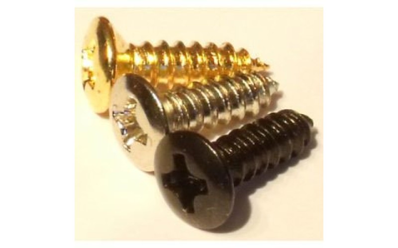 Paxphil WO3012-CR Саморез 3х12мм, хром, 20 шт. в упаковке