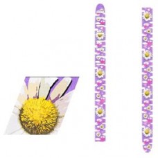 Perri's JPKV-1938 - Кожаный ремень детский (1.5