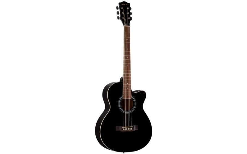 PHIL PRO AS-3904 / BK - Акустическая гитара, Фолк 39