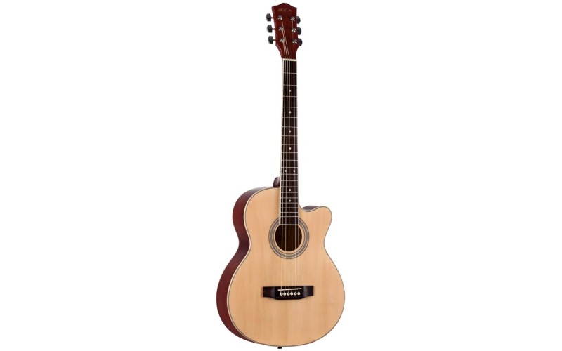 PHIL PRO AS-3904 / N - Акустическая гитара, Фолк 39