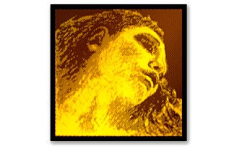 PIRASTRO 415091 Evah Gold Violin Комплект струн для скрипки (синтетика)