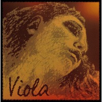 PIRASTRO 425021 Evah Pirazzi Gold Комплект струн для альта размером 4/4