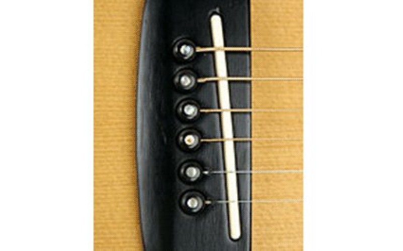 PLANET WAVES PWPS10 колышки для крепления струн к подставке