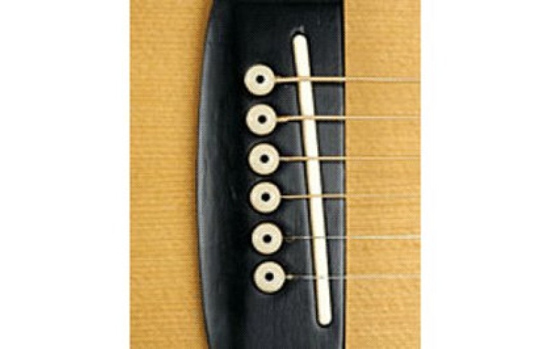 PLANET WAVES PWPS12 колышки для крепления струн к подставке