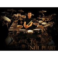 PROMARK PW747W - барабанные палочки Neil Peart