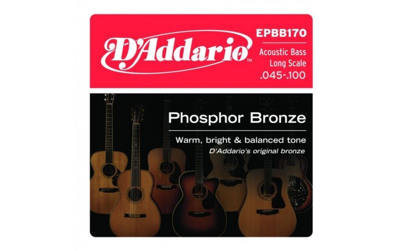 D'ADDARIO EPBB170 - струны для акустической бас-гитары