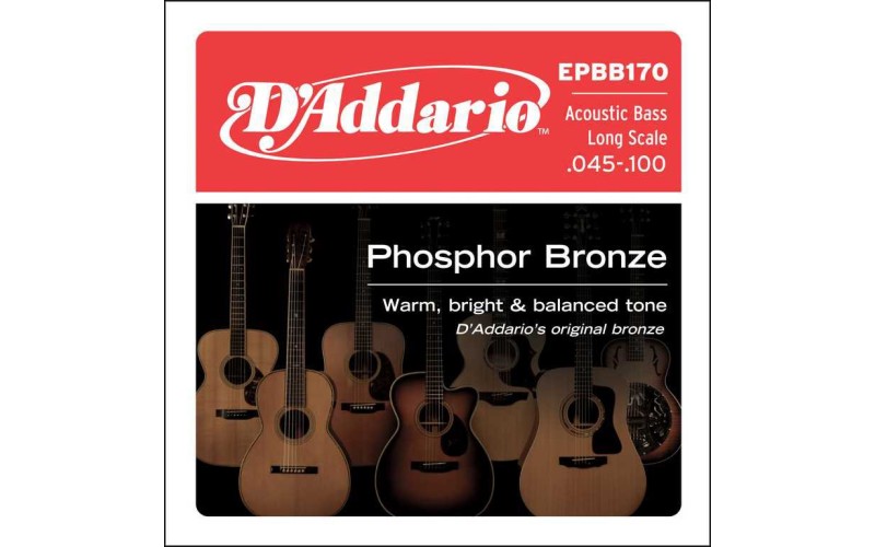 D'ADDARIO EPBB170 - струны для акустической бас-гитары