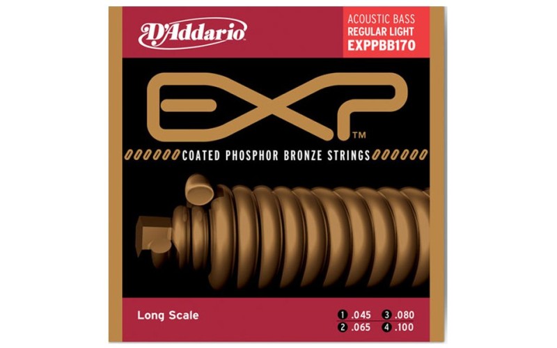 D'ADDARIO EXPPBB170 - струны на акустическую бас-гитару