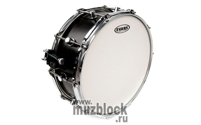 EVANS B12G1 - пластик 12