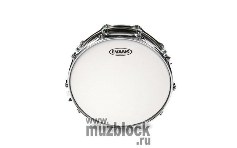 EVANS B12G2 - пластик 12