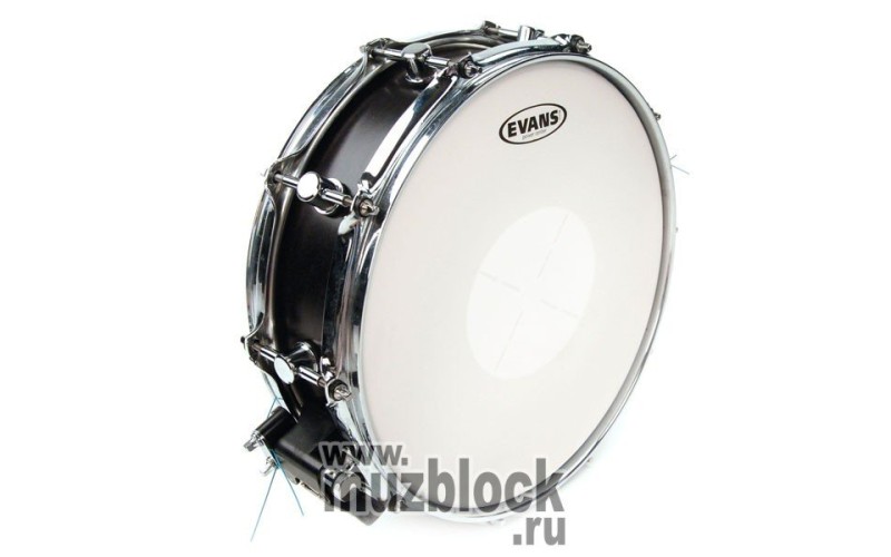 EVANS B14G1D - пластик 14