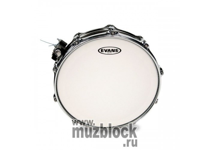 EVANS B14GEN - пластик 14