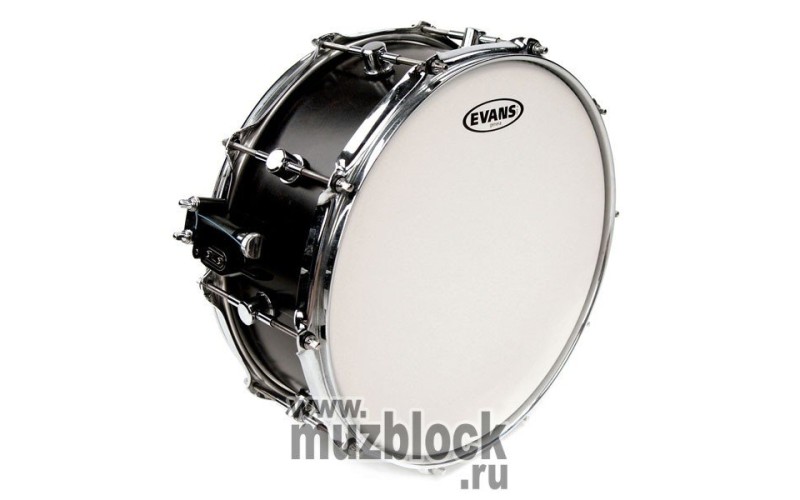 EVANS B14HD - пластик 14