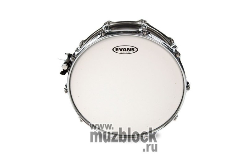 EVANS B14HDD - пластик 14