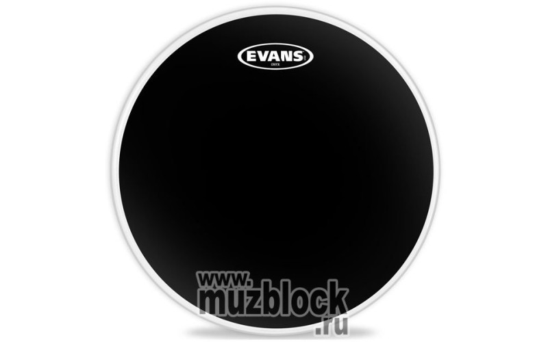 EVANS B14ONX2 - пластик 14