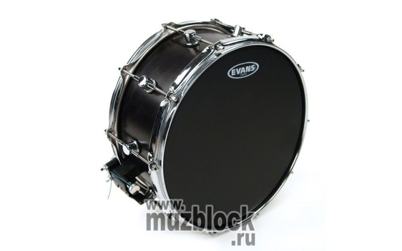 EVANS B14ONX2 - пластик 14