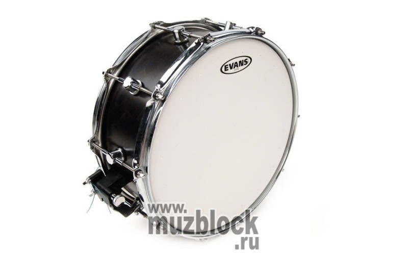 EVANS B14STD - пластик 14