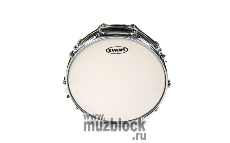 EVANS B14STD - пластик 14