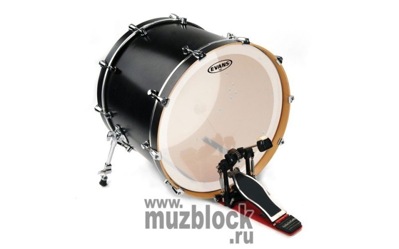 EVANS BD20GB4C - пластик 20