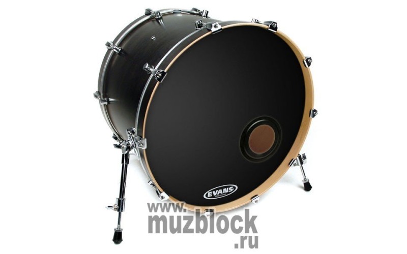 EVANS BD20REMAD - 20