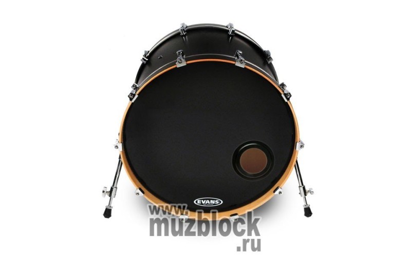 EVANS BD20REMAD - 20