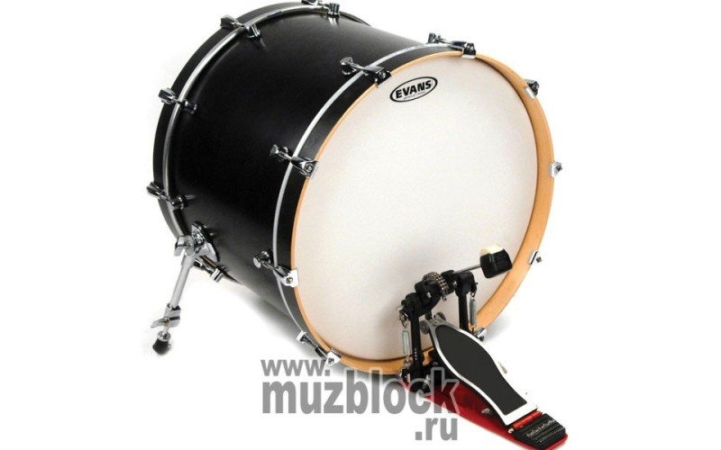 EVANS BD22G1CW - пластик 22