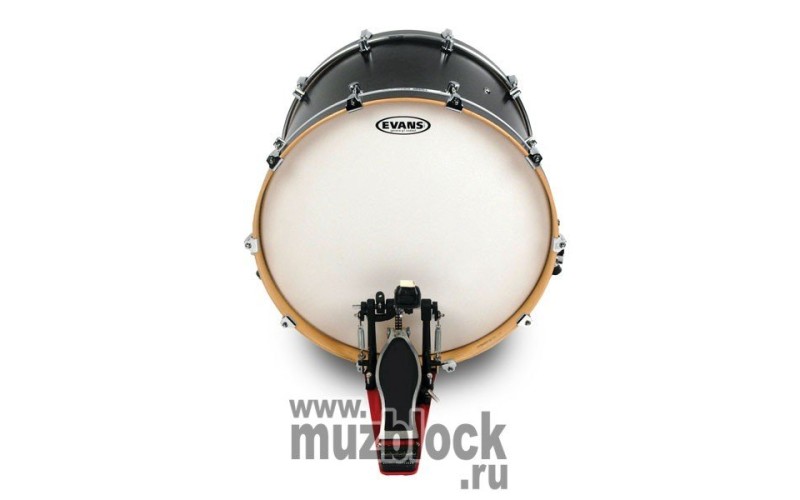 EVANS BD22G1CW - пластик 22