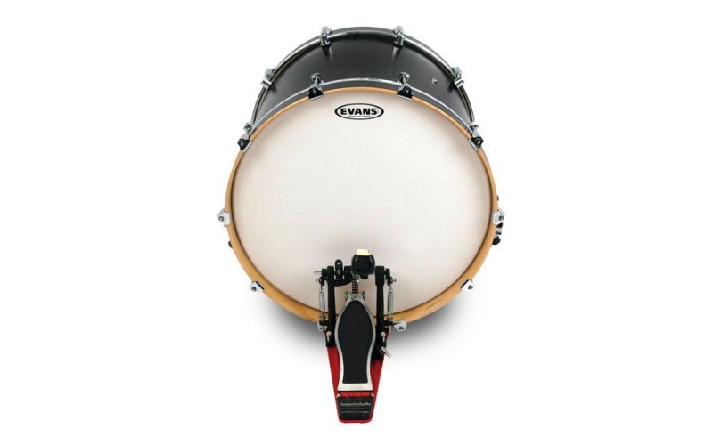 EVANS BD22G1CW - пластик 22