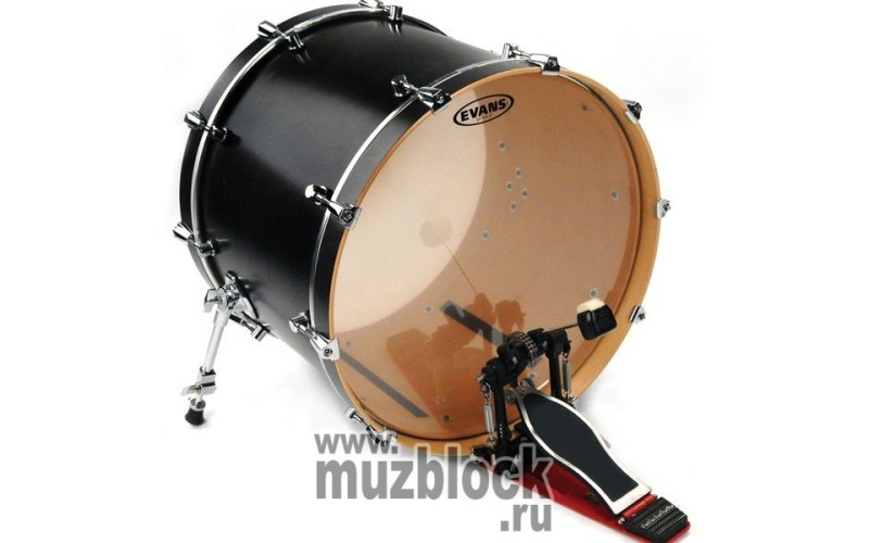 EVANS BD22G2 - пластик 22