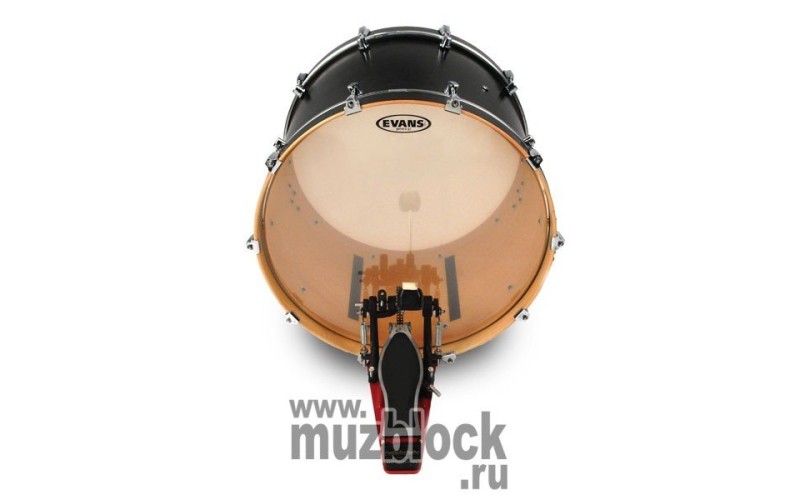 EVANS BD22G2 - пластик 22