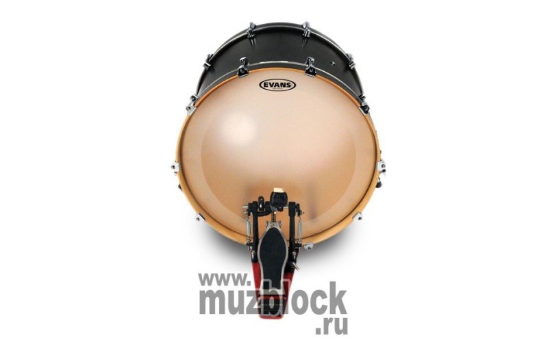 EVANS BD22GB4C - пластик 22