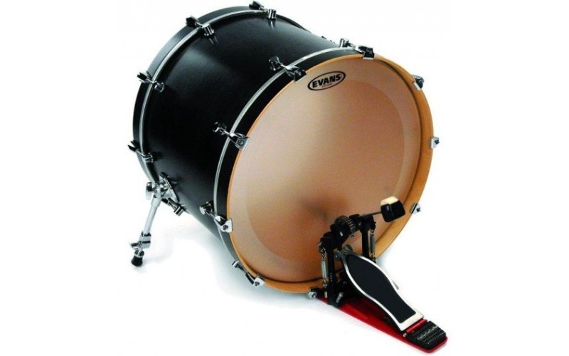 EVANS BD22GB4C - пластик 22