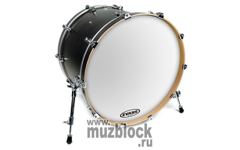 EVANS BD22RSW - пластик 22