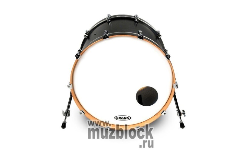 EVANS BD22RSW - пластик 22