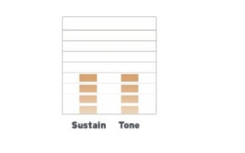 EVANS S14H30 - пластик 14