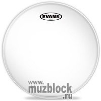 EVANS TT13HG - пластик 13