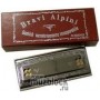 HOHNER Bravi Alpini 1316/64 CG (M1316337) - губная гармошка