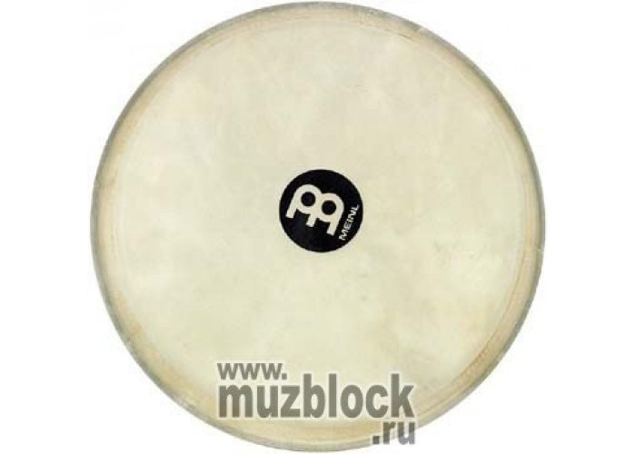 MEINL HEAD-54 - мембрана для джембе серии ADJ