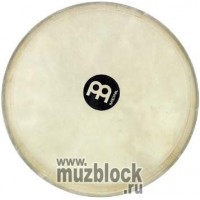 MEINL HEAD-55 - мембрана для джембе серии ADJ