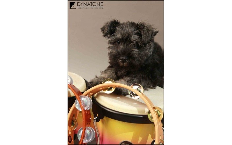 MEINL TA1AB - тамбурин деревянный профессиональный