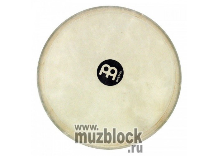 MEINL HHEAD8W - мембрана для бонго HB100