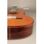 PEREZ 640 Cedar - классическая гитара