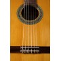 PEREZ 610 Cedar - классическая гитара