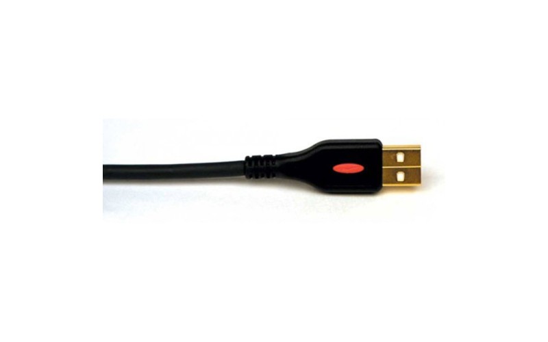 PLANET WAVES PW-USB-10 - шнур USB 3м